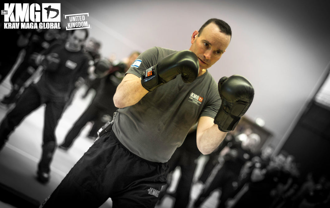 National Training & Grading Weekend  - High Wycombe (29/11/2025)